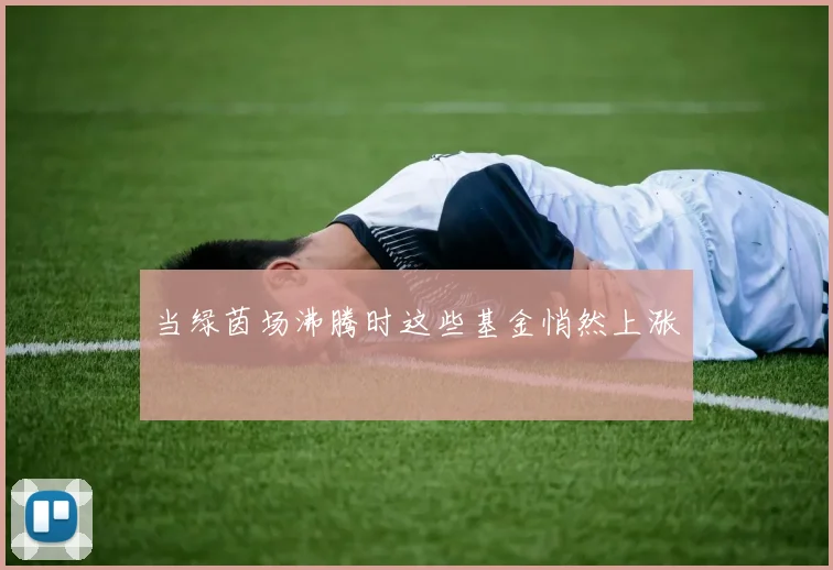 当绿茵场沸腾时这些基金悄然上涨