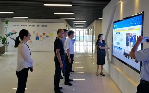 信息技术咨询驱动产学研融合 滁州学院为区域发展注入新动能